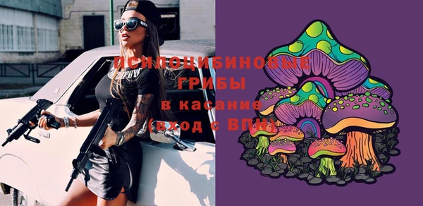 синтетический гашиш Верхний Тагил