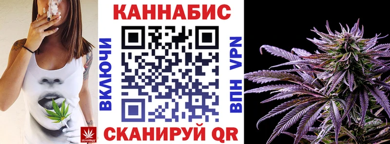 Конопля сатива  Купить  Иланский 